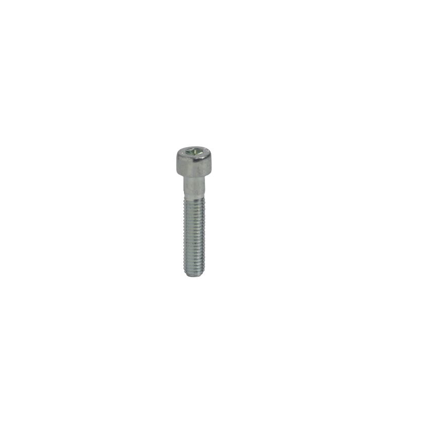 TCE SCREW 8X40MM