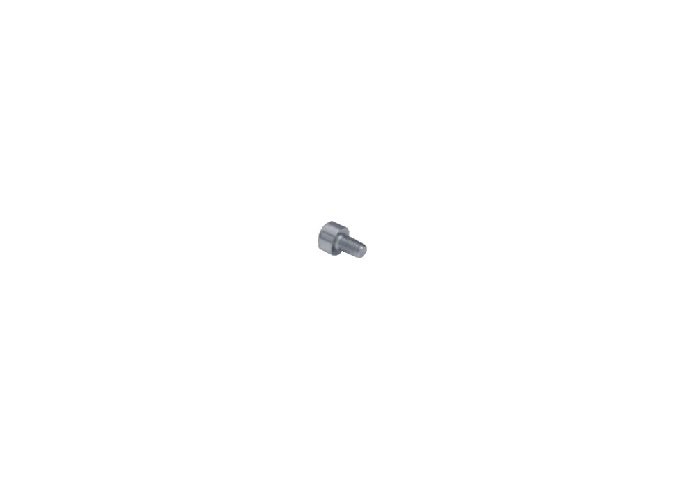 SOCKET HEAD SCREW 4X6 MM