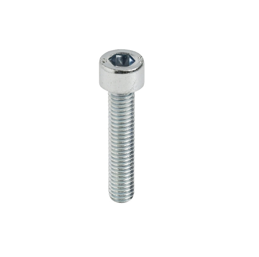 TCE SCREW 6X30MM