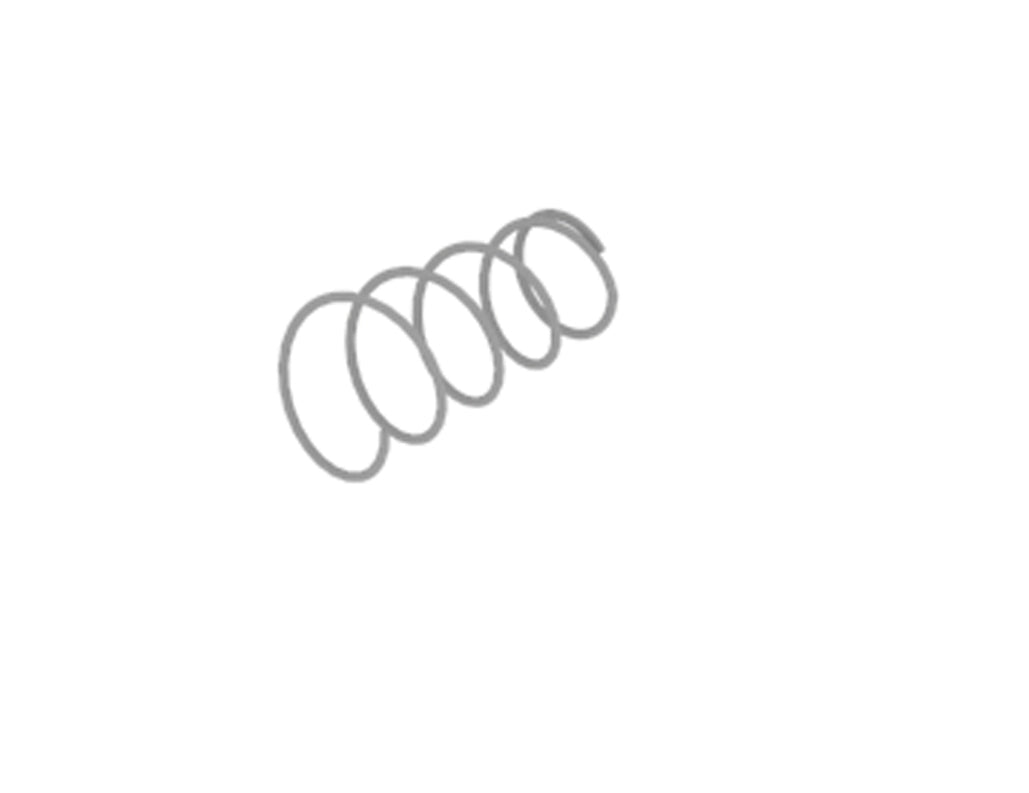 PUMP SPRING BSM4